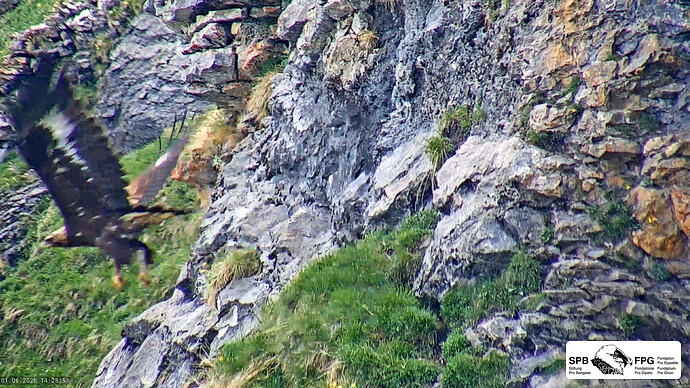 Bildschirmfoto vom 2026-06-01 14-28-37