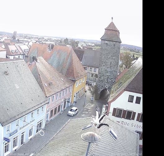 Bild