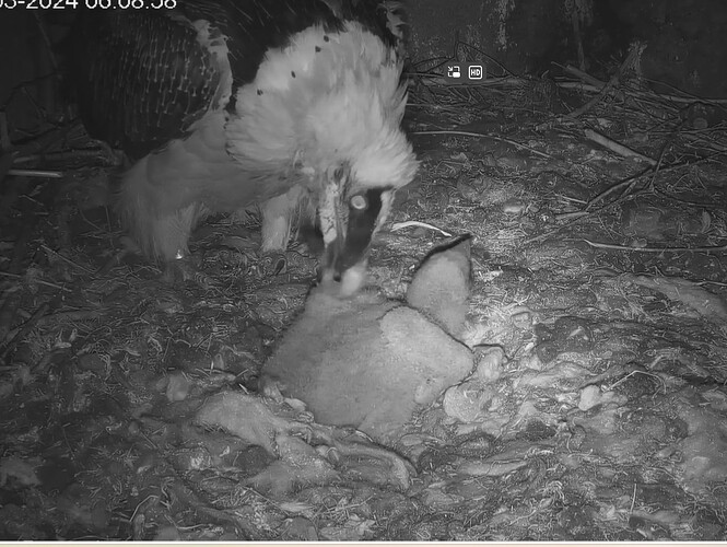 Erstes Morgenputzen 22.03.24