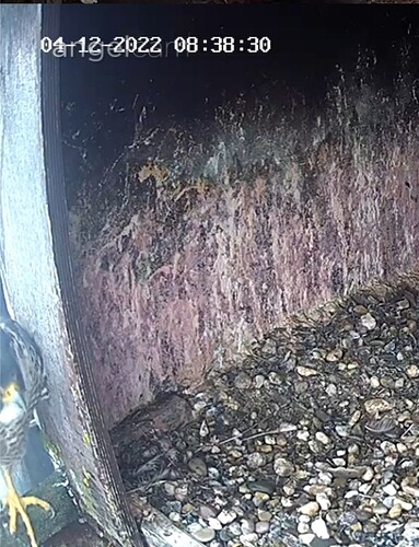 Screenshot_20221204-083748_Samsung Internet