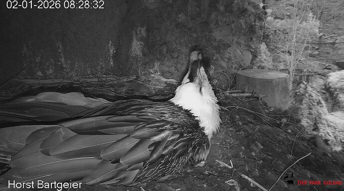 Insektenfang 02.01.26