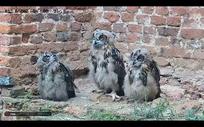 Screenshot_20240601-121356_YouTube