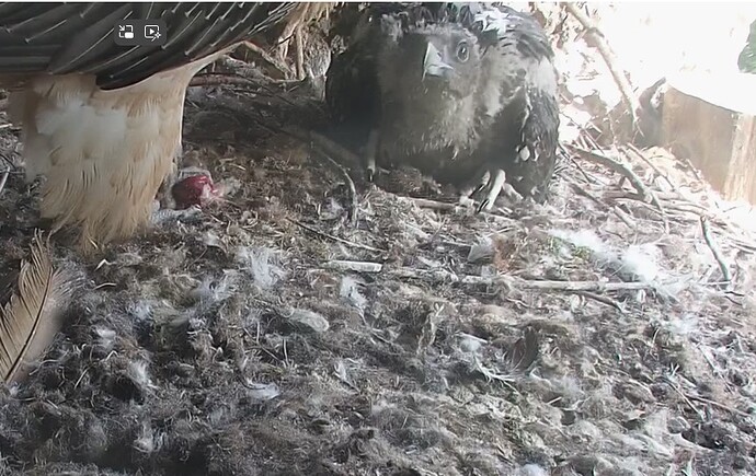 Abendessen 1 04.05.24