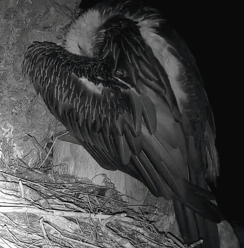 Screenshot_2025-10-20-21-50-10-681_com.android.chrome~2