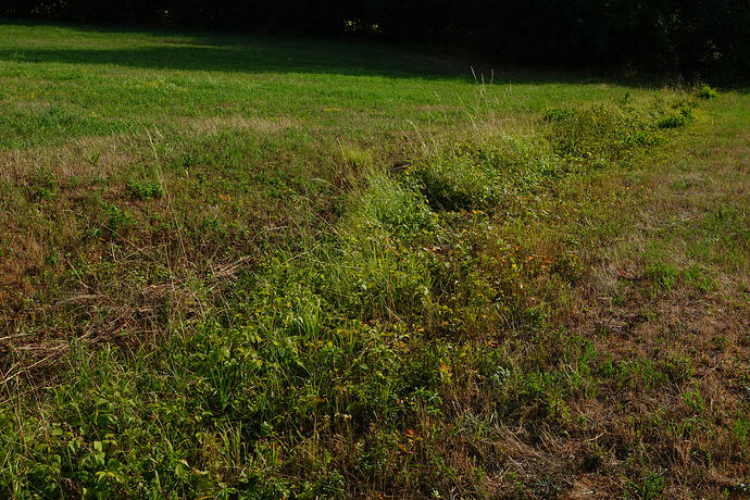 DSC05780
