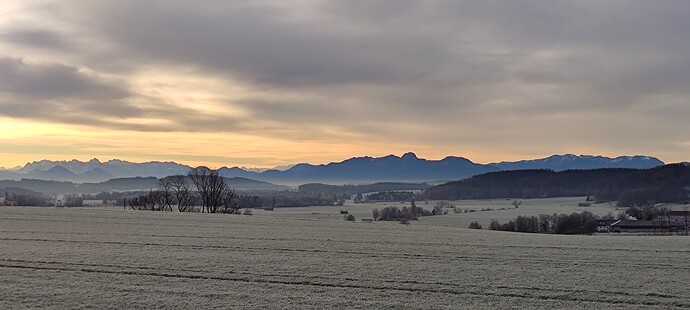 IMG_20230108_085337