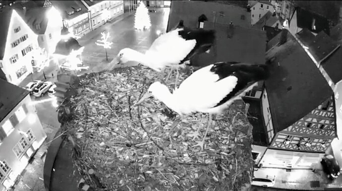 Screenshot_2023-12-21-17-49-09-805_com.google.android.youtube