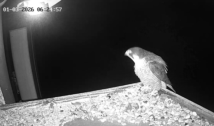 Screenshot_20260301_062429_Samsung Internet