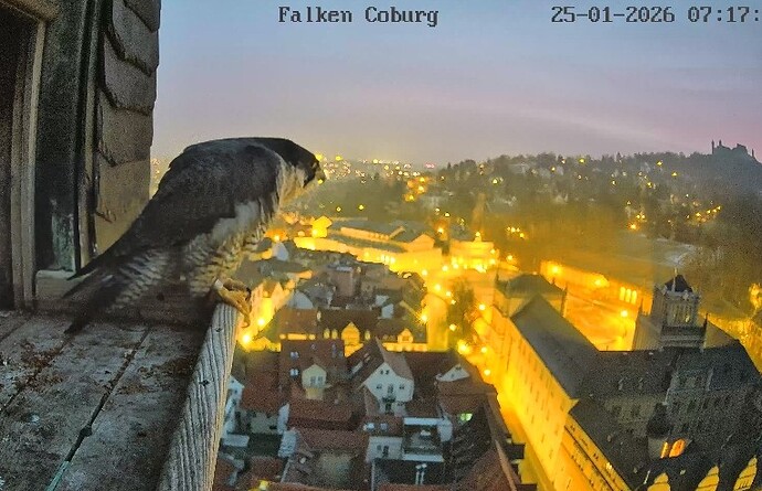 Screenshot_2026-01-25-07-17-29-957_com.android.chrome