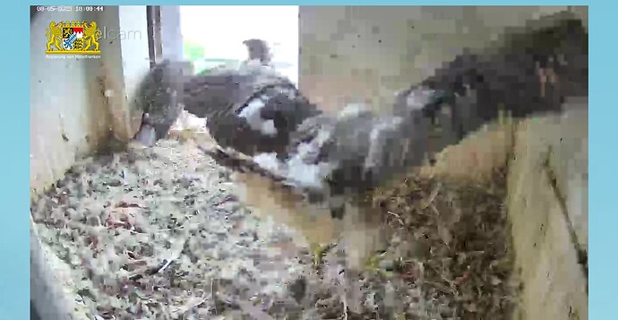 Screenshot_20230508-180111~2