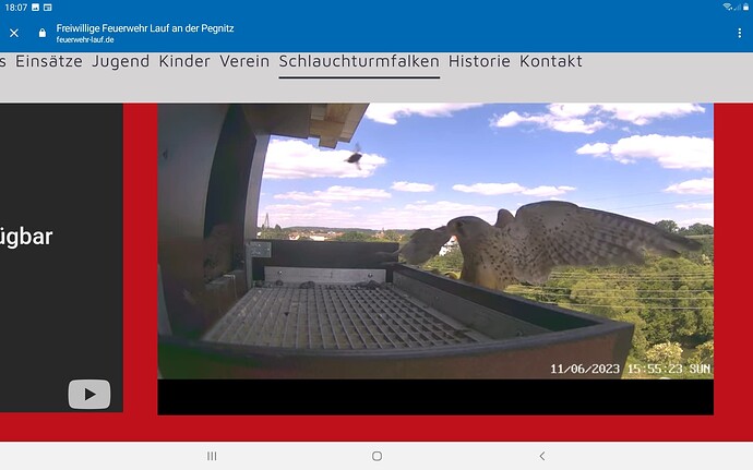 Screenshot_20230611-180743_Chrome