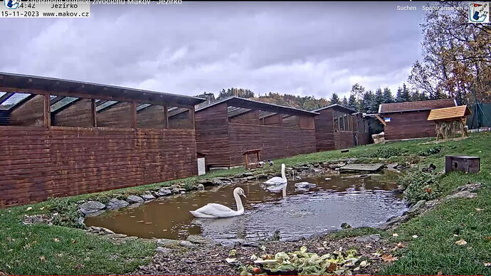 Snap_2023.11.15_11h05m21s_003_