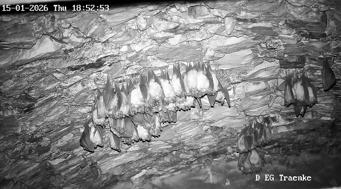 2026-01-15_4 ab 18.00 Aufbau 2 Cluster