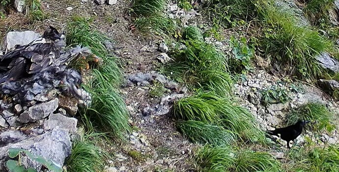 Luisa  mit Besuch 11.06.25