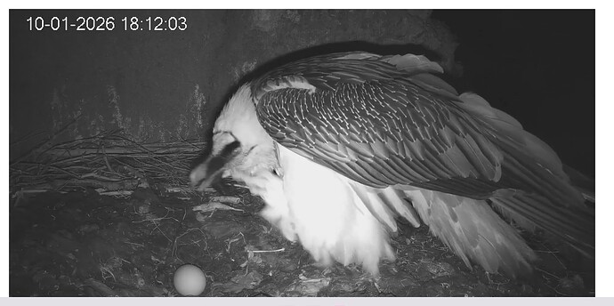 Screenshot_20260110-181308~2