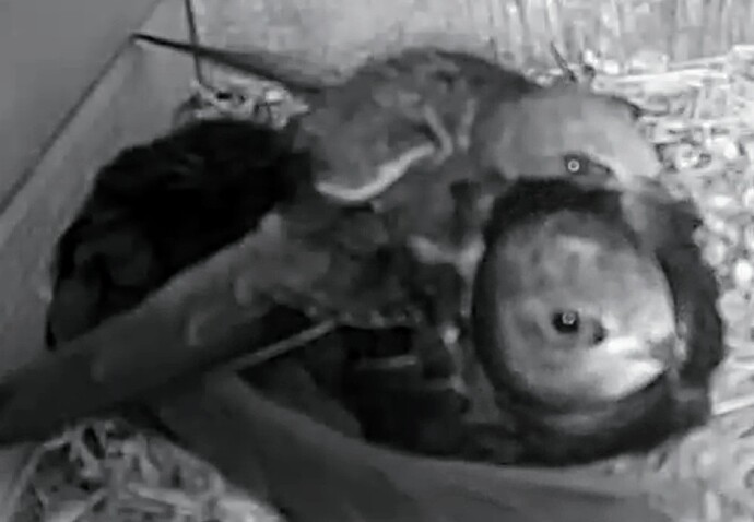 Screenshot_2025-07-09-07-41-55-072_com.android.chrome