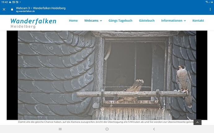 Screenshot_20230601-194255_Chrome
