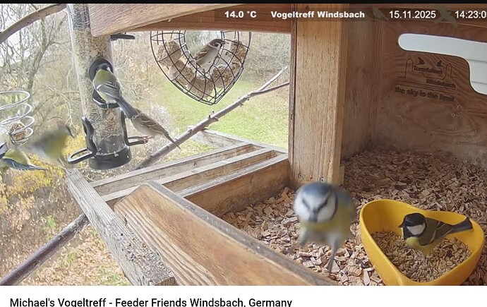 Screenshot_20251115-142324~2