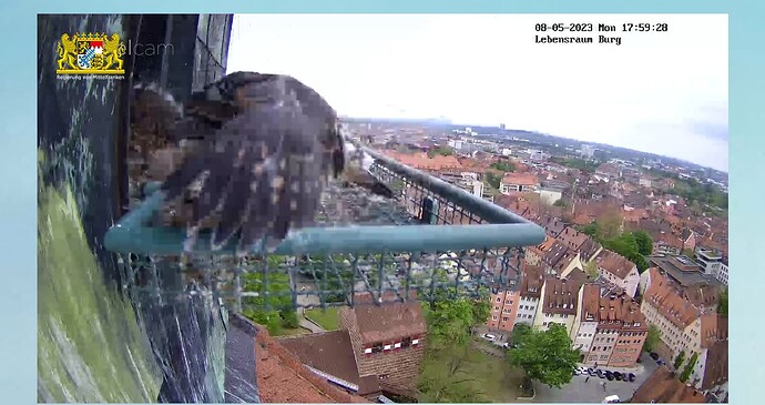 Screenshot_20230508-175956~2