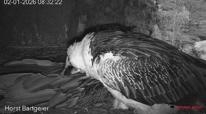 Besuch  v. Hans 02.01.26