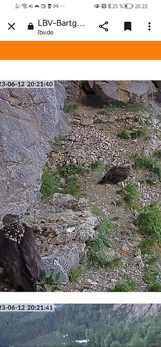 Screenshot_20230612_202205_com.android.chrome