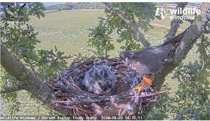 Screenshot 2024-08-03 212227