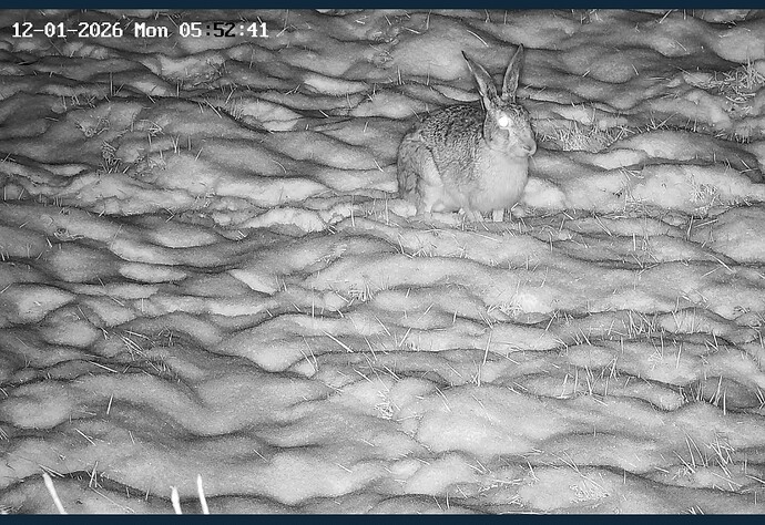 Screenshot_20260112_055137_Samsung Internet