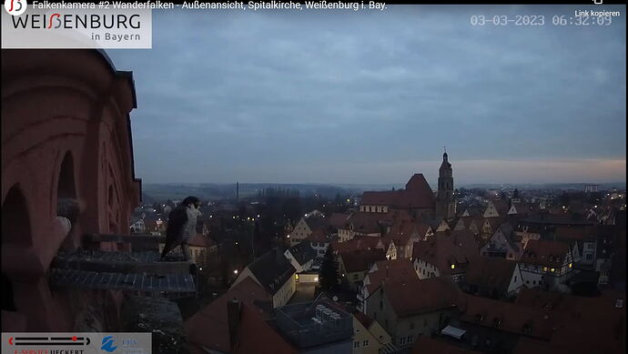 Snap_2023.03.03_06h33m47s_001_