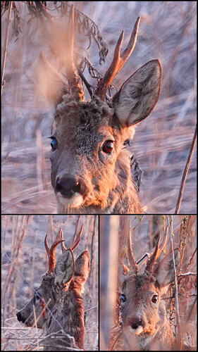 20260328_143547-COLLAGE