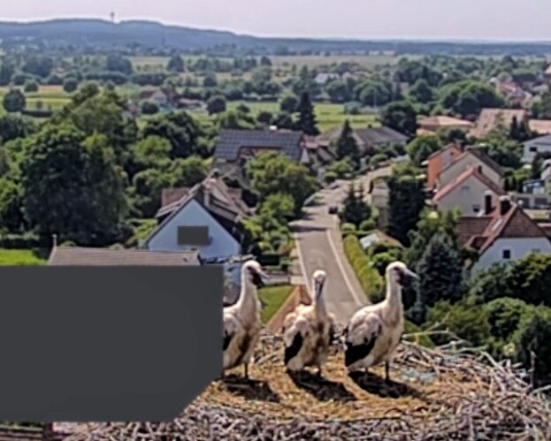 Screenshot_2025-06-14-15-43-12-244_com_1749908699620.android.chrome