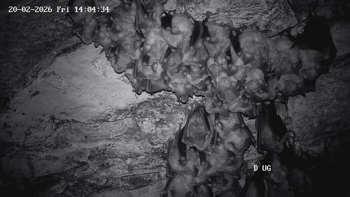 05 20260220140435205