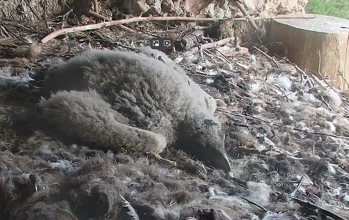 Abends allein 13.04.24