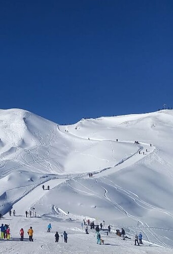 IMG-20230207-WA0001