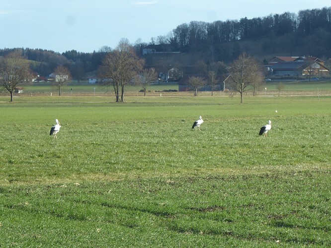 P1120079