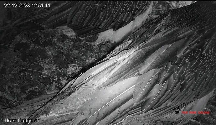 Screenshot_2023-12-22-12-51-24-570_com.android.chrome