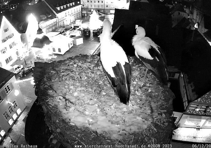 Screenshot_20231206-170151~3