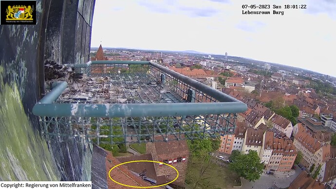 wfn_230507_Ausreißer