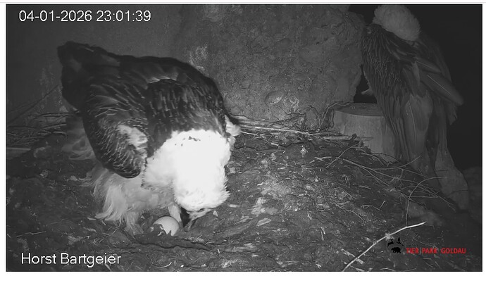 Screenshot_20260104-230241~2