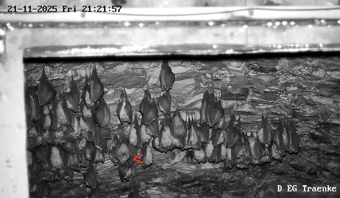 Vollbildaufzeichnung 21.11.2025 212202