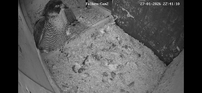 Screenshot_20260127_224112_Chrome