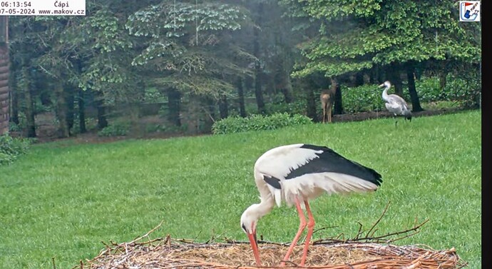 Screenshot_2024-05-07-06-32-10-706_com.google.android.youtube