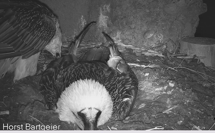 Screenshot_20260103-004102~2