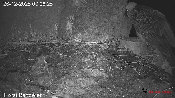 Screenshot_20251226-000939~2