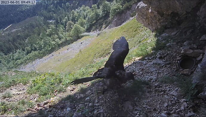 Snap_2023.06.01_09h49m42s_004_