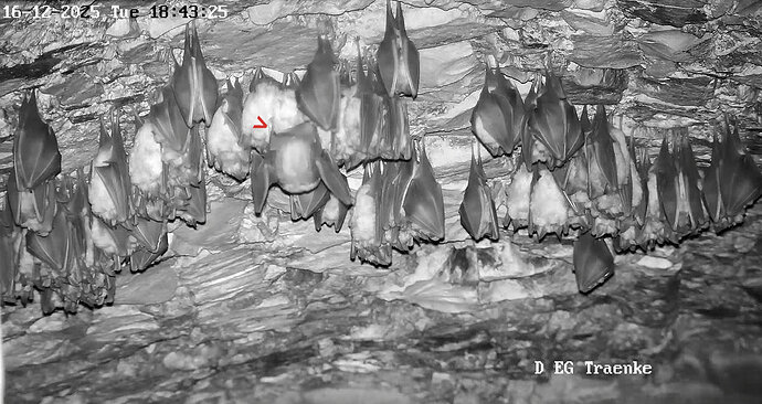 Vollbildaufzeichnung 16.12.2025 184327