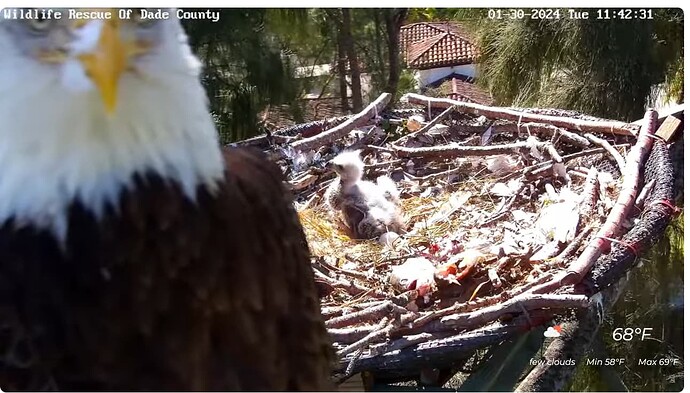 Screenshot 2024-01-30 175910