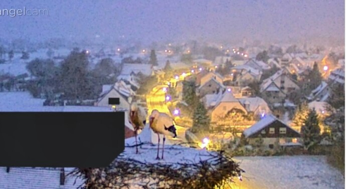 Screenshot_2026-02-19-06-40-19-954_com.android.chrome~3