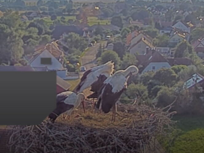 Snap_2024.06.28_19h23m49s_012_