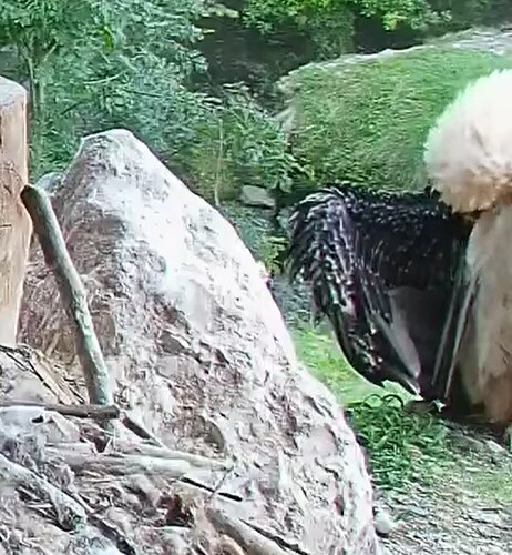 H bei Abendtoilette 31.08.25