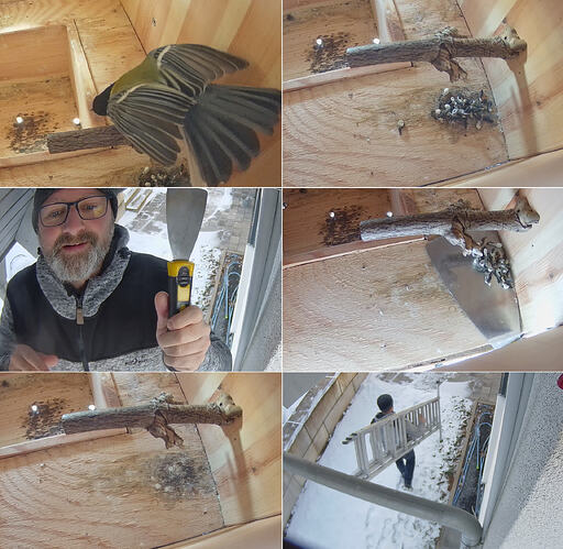 20260103.Flori Reinigungsservice